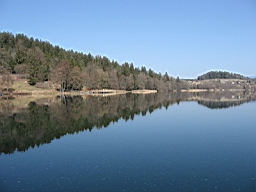 langsee_073.JPG